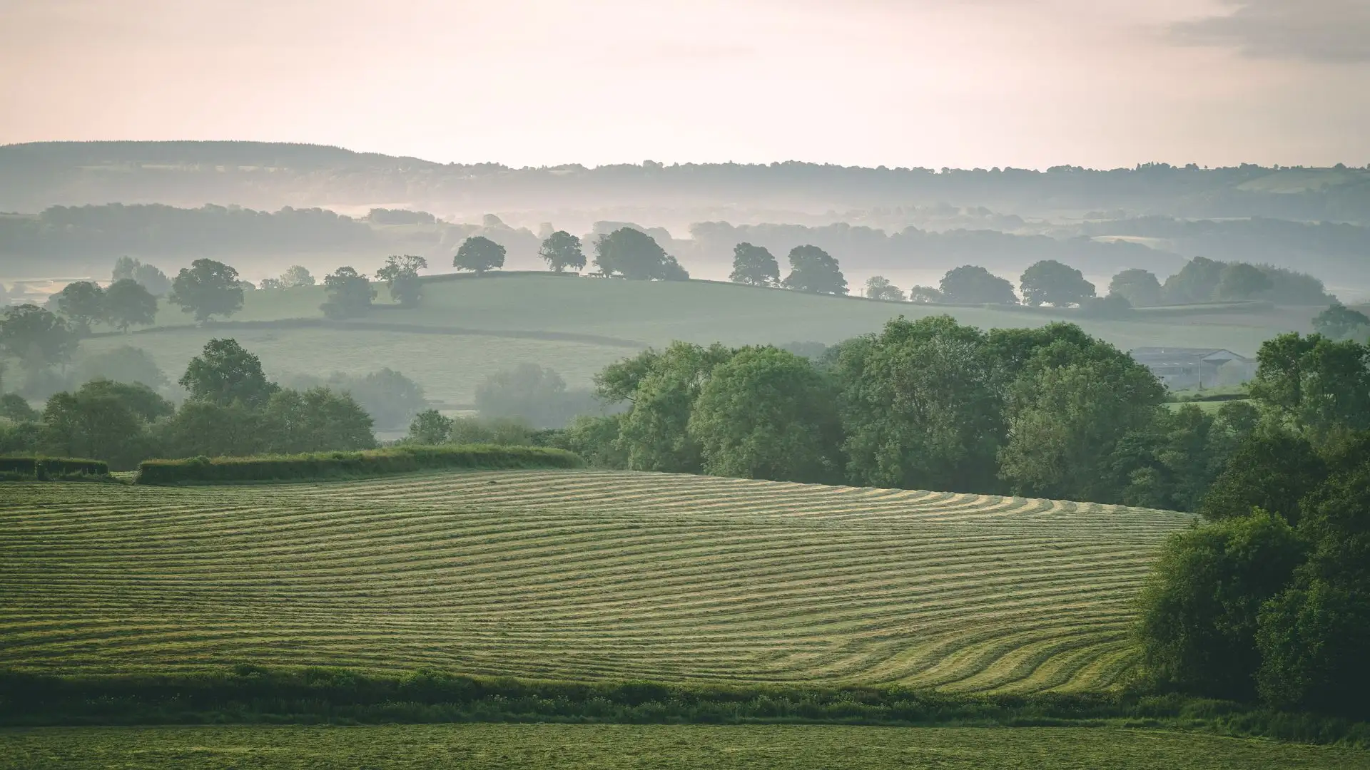 Worcestershire countryside near the E P Accountants practice in Shrawley